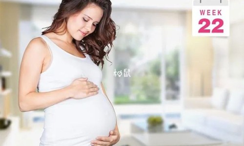 孕妇可以吃鳝鱼吗-孕妇吃啥可以保胎网 :分享孕妇吃啥可以保胎呢-孕妇吃啥可以保胎安胎知识