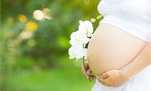 孕妇可以吃鳝鱼吗-孕妇吃啥可以保胎网 :分享孕妇吃啥可以保胎呢-孕妇吃啥可以保胎安胎知识
